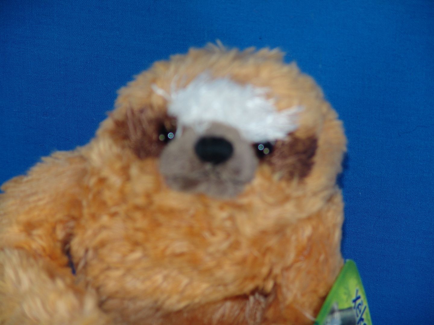 lifelike sloth toy